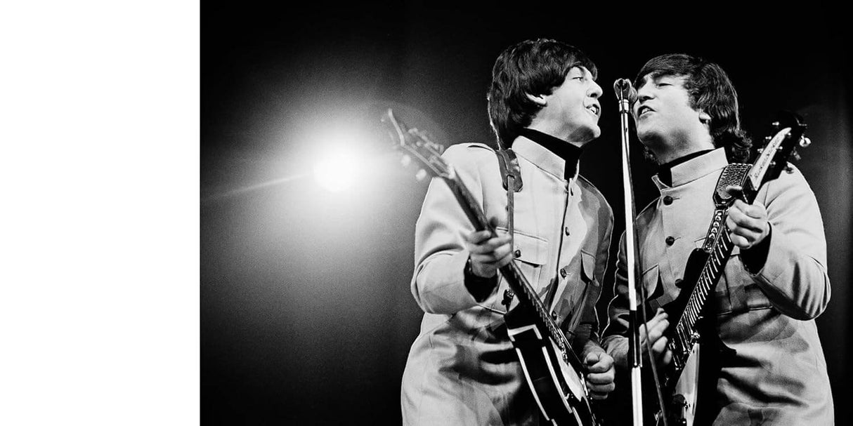 Musik Book from Chronicle Books at Pinch in Northampton, MA