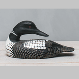 Medium Loon with Head Turned