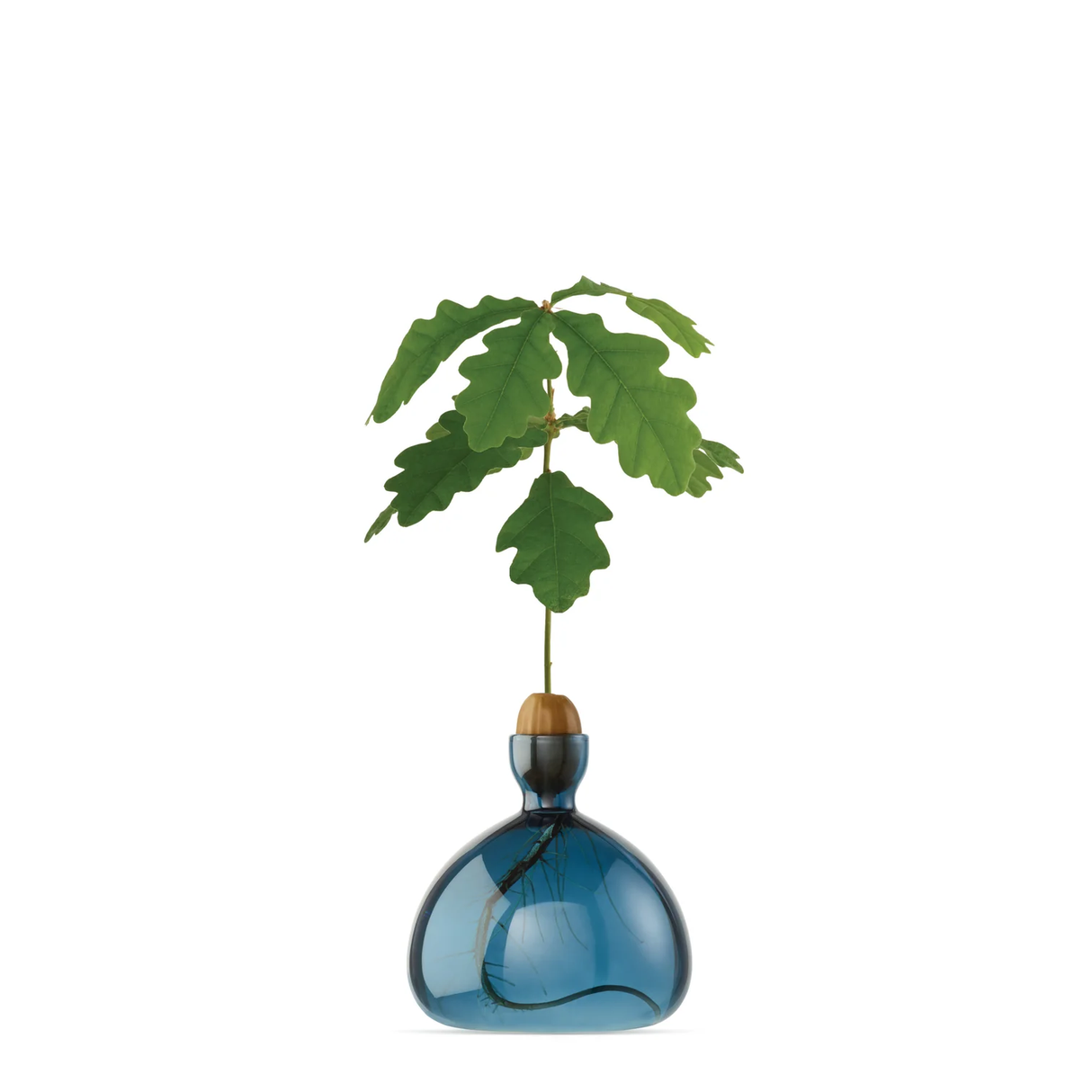 Acorn Vase in Blue Jay