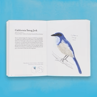The Field Guide to Dumb Birds of the Whole Stupid World at PINCH
