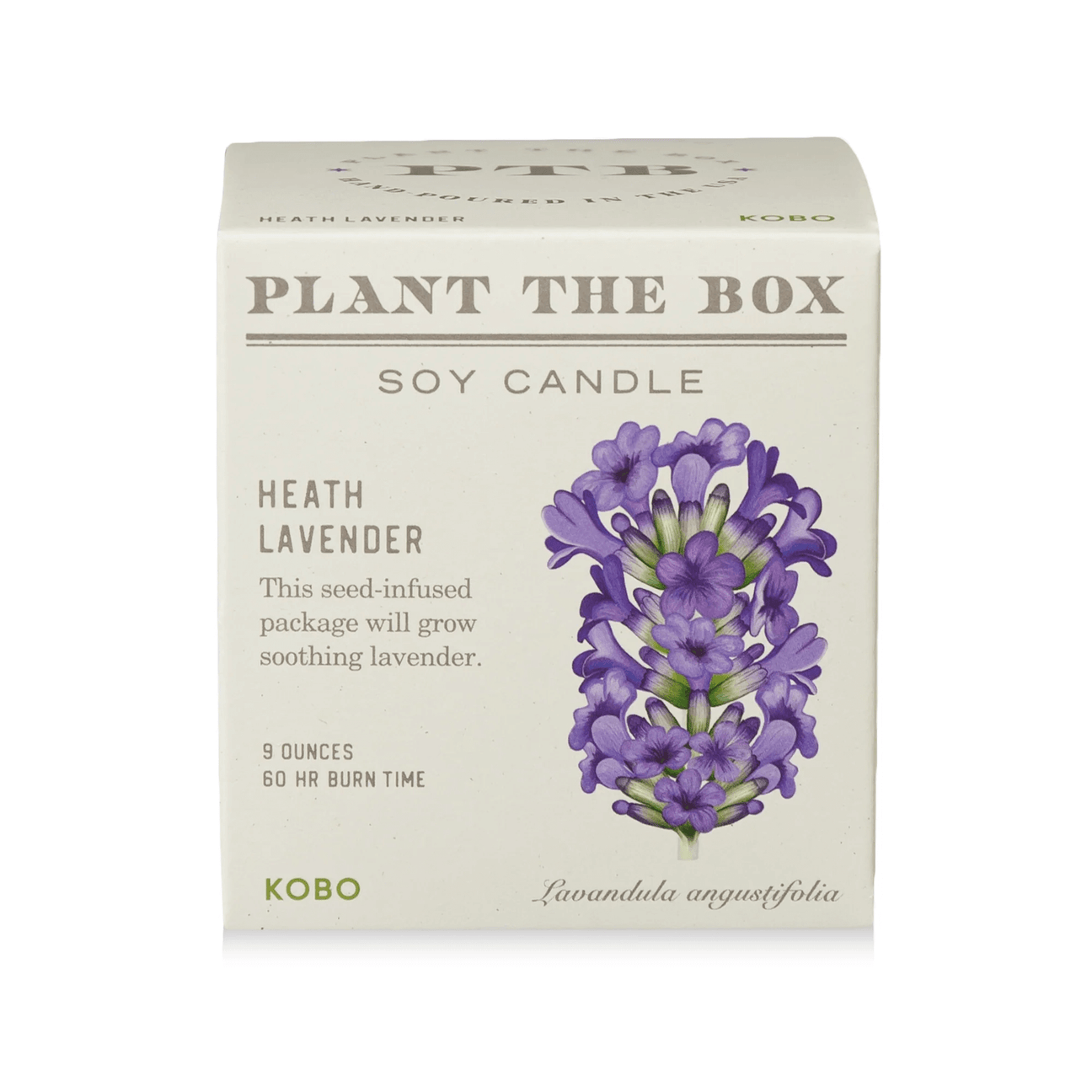 Heath Lavender Plant the Box Candle from KOBO at Pinch in Northampton, MA