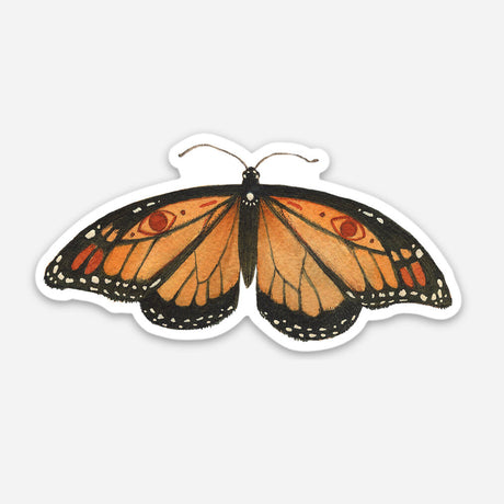 Monarch Butterfly Sticker from Polanshek of the Hills at Pinch in Northampton, MA