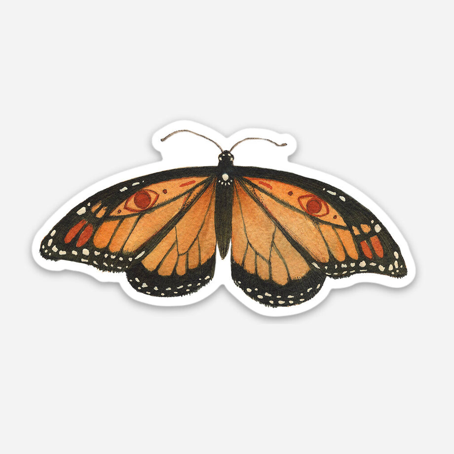 Monarch Butterfly Sticker – PINCH