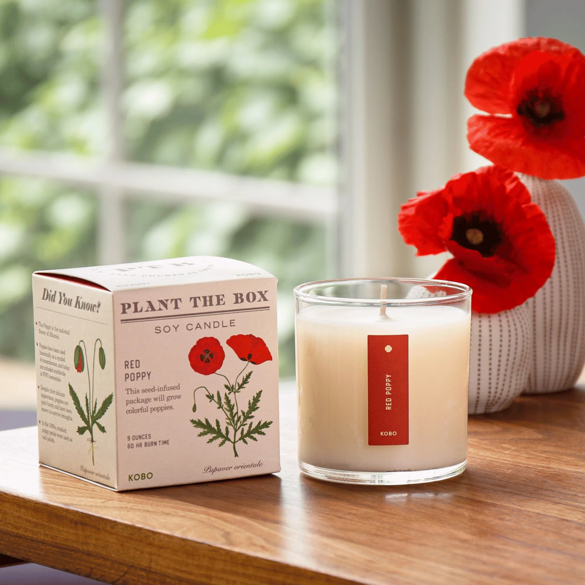 Red Poppy Plant the Box Candle