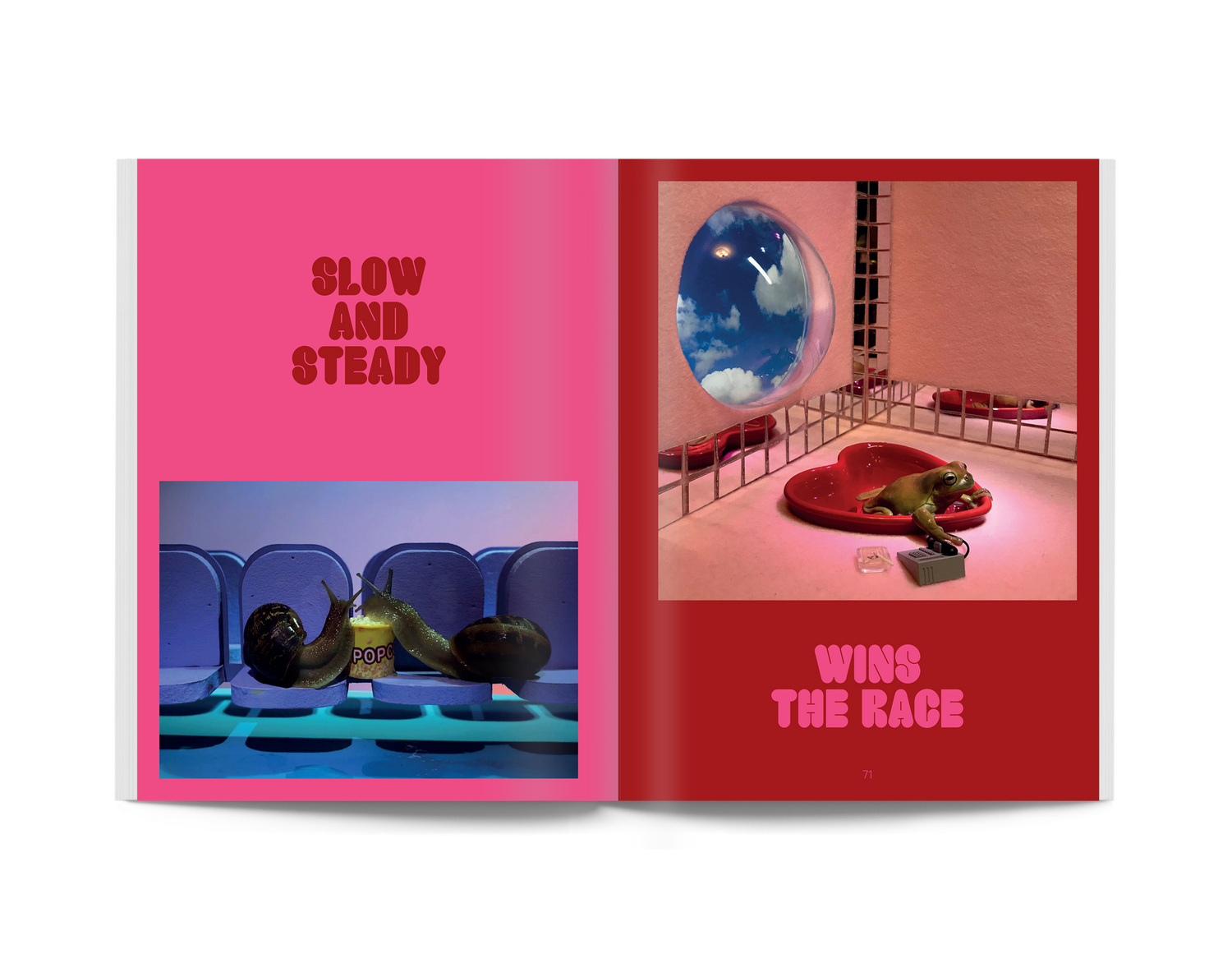 Snail World Book: Life in the Limelight from Broccoli at Pinch in Northampton, MA