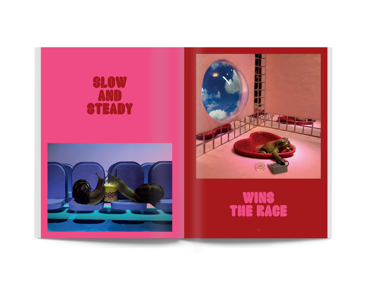 Snail World Book: Life in the Limelight at PINCH