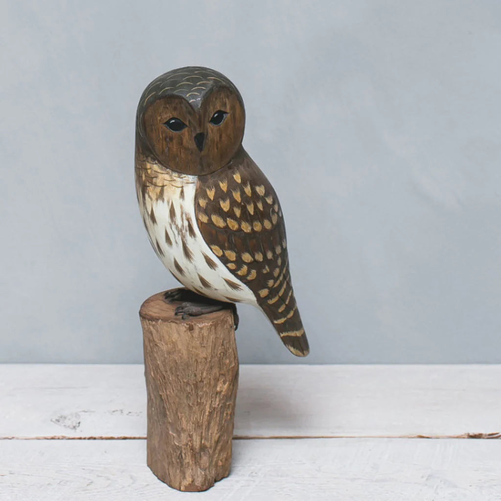 Barred Owl 11" in Wood from Aviologie at Pinch in Northampton, MA
