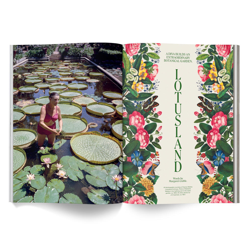 Revista Broccoli número 13