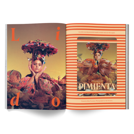 Revista Broccoli número 13