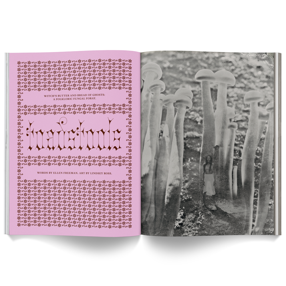 Mushroom People Magazine from Broccoli at Pinch in Northampton, MA