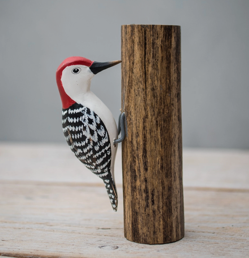 Mini Red Bellied Woodpecker at PINCH