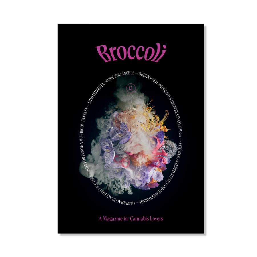Revista Broccoli número 13