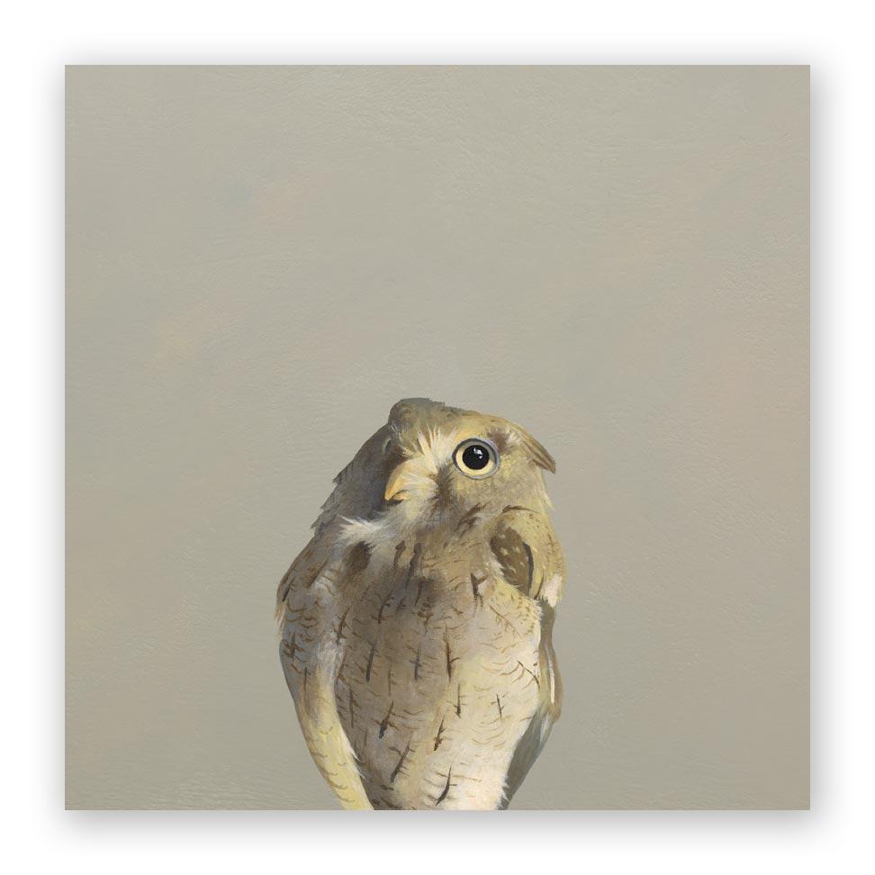 Screech Owl 10x10 Wooden Panel from The Mincing Mockingbird at Pinch in Northampton, MA