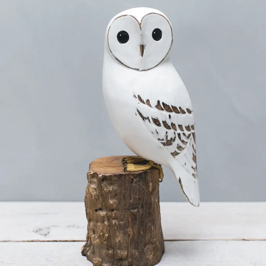 Large Barn Owl in Wood at PINCH