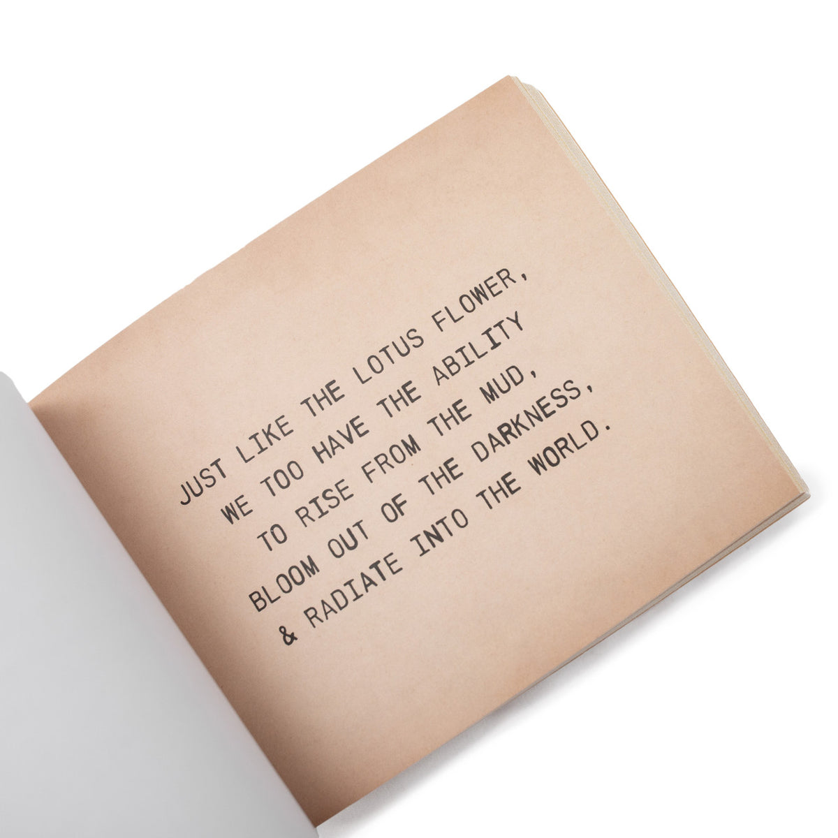 The Little Book of Love Letters to the World at PINCH