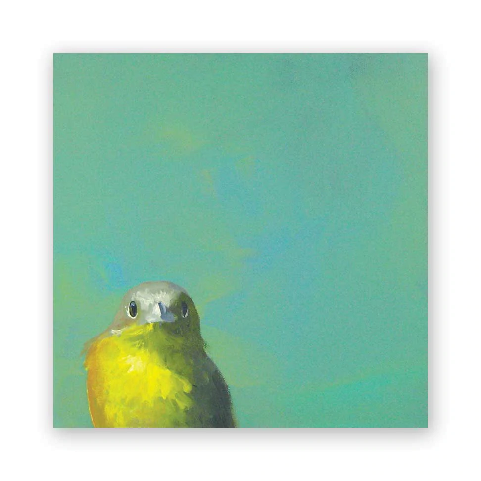 Yellow Bird 8x8 Wings on Wood Panel from The Mincing Mockingbird at Pinch in Northampton, MA