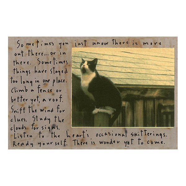 Pause Story Picture - Diane Hanna/Stoneheart - Story Picture - [PINCH]